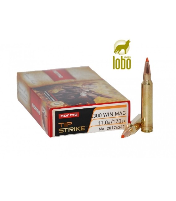 NORMA PUNTA TIPSTRIKE