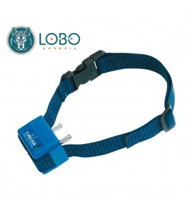 CANICALM FIRST (ANTILADRIDOS)